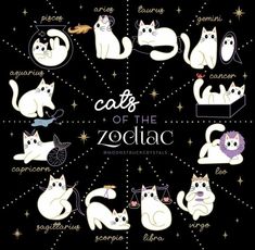 cats of the zodiac sign are depicted in this illustration