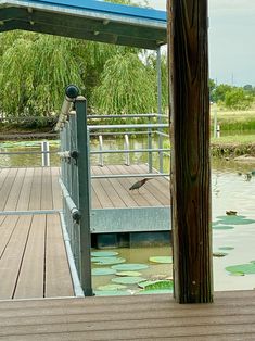 there is a bird that is standing on the dock