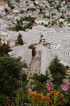 an aerial view of a city with lots of buildings and flowers in the foreground