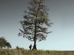 a man standing next to a tall tree on top of a grass covered field