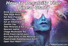 Diatomaceous Earth Food Grade, Chakra Meditation, Mind Body Soul, Spiritual Healing, Chakra Healing, Health Remedies