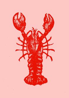 a red drawing of a lobster on a pink background