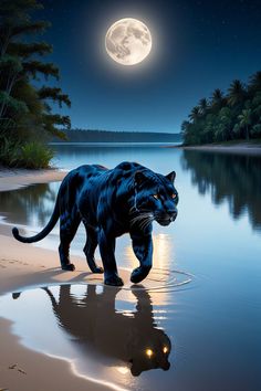 a painting of a black tiger walking on the beach at night