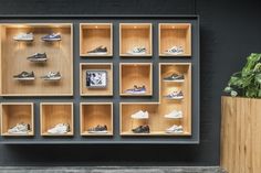 a display case filled with lots of different types of shoes on shelves next to a potted plant