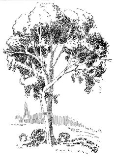 a black and white drawing of a tree