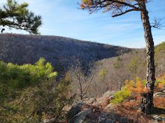 a view from the top of a mountain with trees and mountains in the background