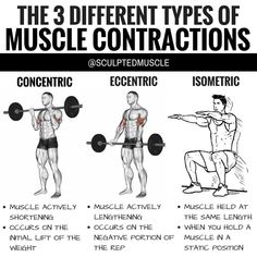 the 3 different types of muscle constructions