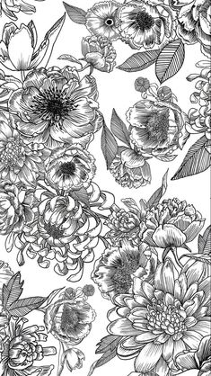 black and white flowers are shown in this drawing style, as well as the background