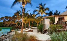 a tropical beach resort with palm trees and hammocks on the shore at dusk