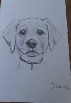 a drawing of a dog's face is shown in black and white, with the name dimala on it