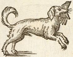 a drawing of a dog with a hat on its head and tail, standing in the air