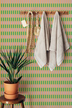 two towels hanging on a rack next to a potted plant and a wall mounted towel rack