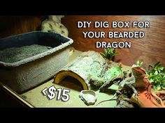 an old box for your bearded dragon is $ 1 95 with the price tag $ 15