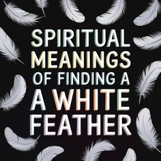 a book cover with white feathers in the middle and words that read, spiritual meaningss of finding a white feather