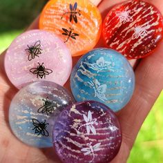 four different colored glass balls with bugs on them in someone's hand, one being held by the other