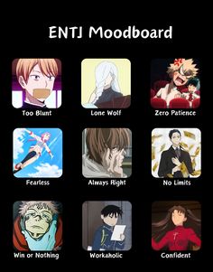 Entj Moodboard, Entp Moodboard, Entj Anime Characters, Infj Intj, Mbti Functions, Aesthetic Cases, Entj Personality, Intp Personality