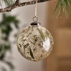 a glass ornament hanging from a tree branch