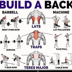 a poster showing how to build a back with the words,'build a back barbell