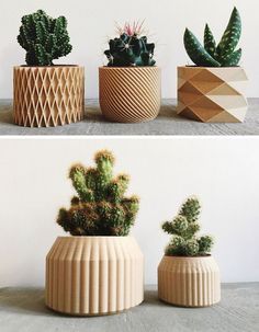 three different types of potted plants sitting on top of each other next to each other