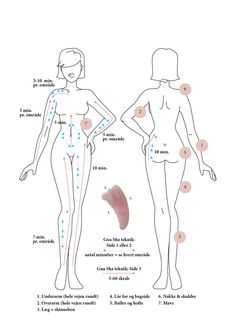 Guasha Body Map, Anticellulite Massage Before And After, Full Body Gua Sha Map, Gua Sha Technique Stomach, Gua Sha Abdomen, Gua Sha Body Technique, Gua Sha On Stomach, How To Use A Gua Sha On Your Face