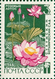 a stamp with pink flowers on it and green leaves in the middle, is shown