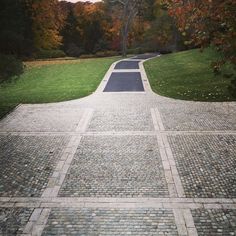 an empty paved road in the middle of a park with lots of trees around it