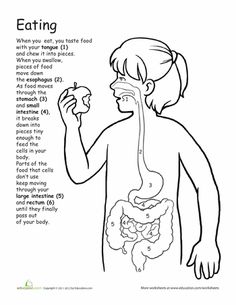 an image of a person eating food from the stomach