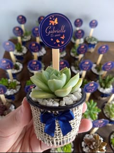 Lembrancinhas com suculentas 50th Year Wedding Anniversary, Table Centerpieces Diy, Succulent Garden Indoor, Aloha Party, Succulent Wedding Favors, Quinceanera Decorations, Painted Pots Diy, Jute Crafts, Diy Shower