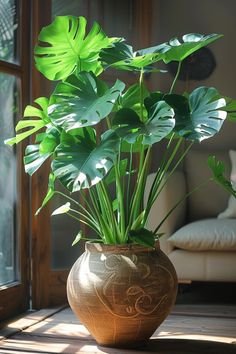 a potted plant sitting on top of a wooden table next to a window sill