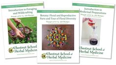 Herb Tips, Easy Herbs To Grow, Growing Herbs Indoors, Indoor Herb, Indoor Herb Garden, Herbs Indoors, Plant Markers, Parts Of A Plant