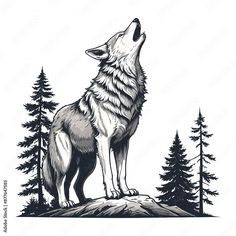 a wolf standing on top of a hill with trees in the background and an inscription below it