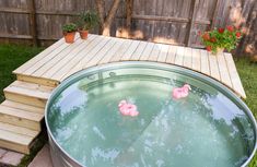 two pink rubber ducks floating in a pool