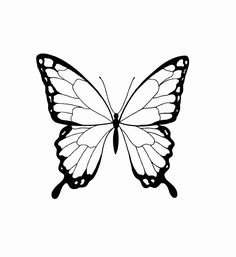 a black and white drawing of a butterfly