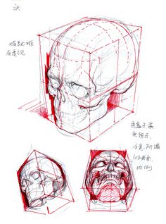 three different views of the face and head in red ink, with chinese writing on it