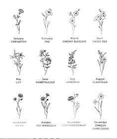 an image of flowers that are labeled in english