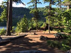 there is a picnic table in the woods