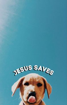 a dog with its tongue hanging out and the words jesus saves above it in front of a blue sky