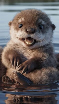 an otter is sitting in the water with its mouth open and it's hands on his chest