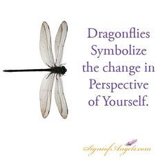 the words dragonflies symbolize the change in perspective of yourself