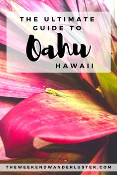 the ultimate guide to oahuu, hawaii