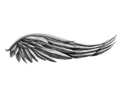 an artistic drawing of a wing on a white background