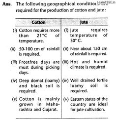 the instructions for how to use cotton and other things in this class are shown below