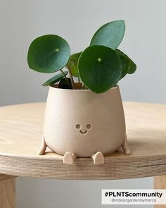 This cute mini plant pot is a must have to add to your collection! Home Decor Ideas Bedroom, Mini Plant, Decor Ideas Bedroom, Beginner Pottery, Sculpture Art Clay, Cerámica Ideas, Clay Diy Projects, Diy Ceramic