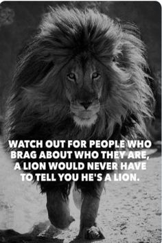 a lion walking across a dirt road with a quote on it's side that says, watch out for people who brag about who they are a lion would never have to tell you he