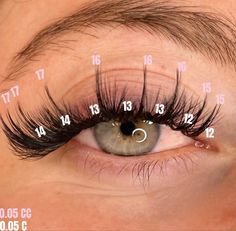 Kylie Jenner Eyelash Extensions Map, Lashes With Color At The End, Kylie Jenner Lash Extensions Map, Kylie Jenner Eyelash Extensions, Whispy Lashes Extensions Map, Types Of Eyelash Extensions Styles, Kylie Jenner Eyelashes, Lashing Techniques, Eyelash Mapping