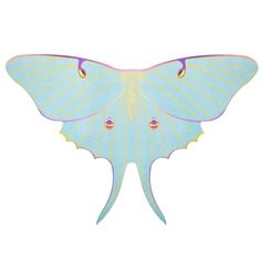 a blue and yellow butterfly with wings spread out to the side on a white background