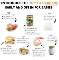 an info sheet describing how to use allergens for babies and toddlers