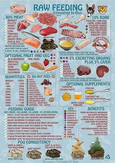 the raw food guide for dogs and cats is shown in this poster, with instructions on how to use it