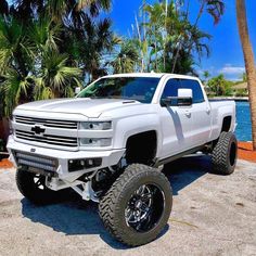 a white truck is parked in front of some palm trees and the water behind it