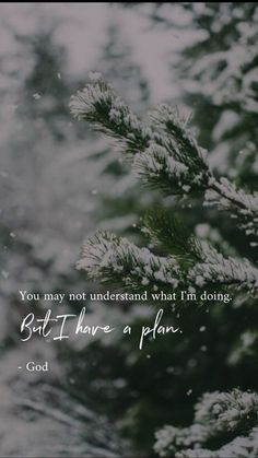 a pine tree with the words, you may not understand what it is doing but have a plan